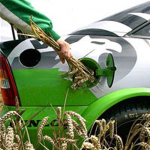 1 января 2011 года в Германии появился бензин новых марок