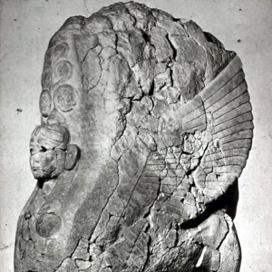 Возвращение крылатого сфинкса