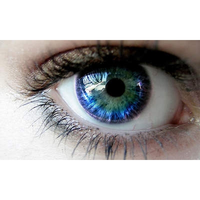 Новые методы защиты ортопедических имплантатов от инфекции.