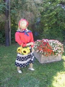 14.jpg