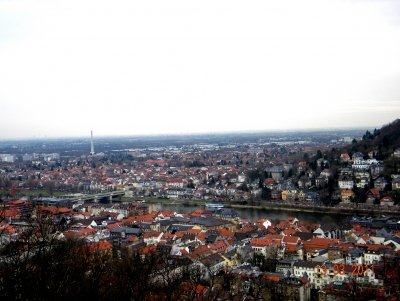 DSCN8113 - Kopie.JPG