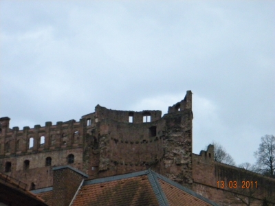 DSCN8215 - Kopie.JPG