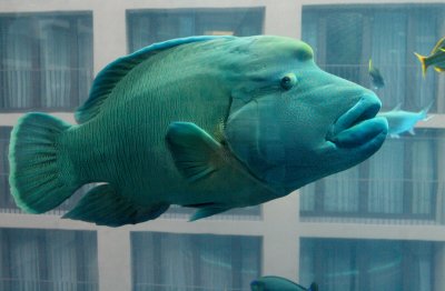 IMG_9010 копия.jpeg