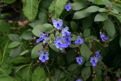 IMG_0069.jpg