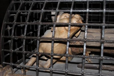 Фото Кельнский собор