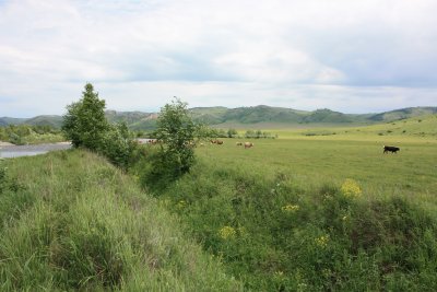 IMG_3558.JPG
