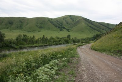 IMG_3516.JPG