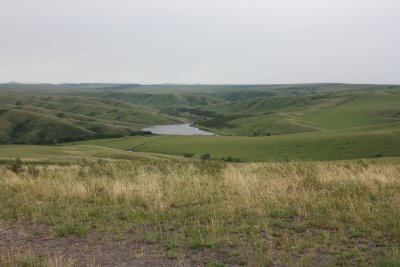 IMG_3502.JPG