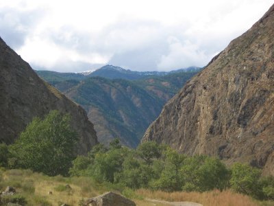 IMG_1025.jpg
