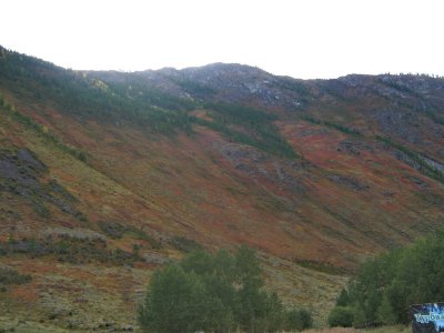 IMG_1047.jpg
