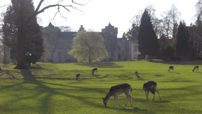 Schloss Herdringen, замок Herdringen  Arnsberg