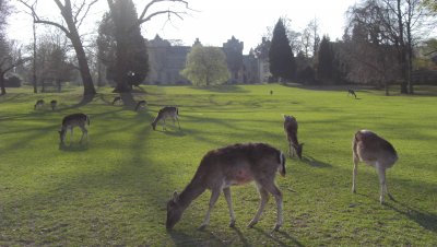 Schloss Herdringen, замок Herdringen  Arnsberg