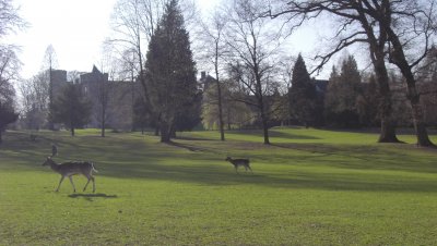 Schloss Herdringen, замок Herdringen  Arnsberg
