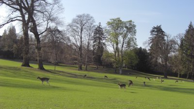 Schloss Herdringen, замок Herdringen  Arnsberg