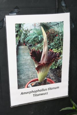 IMG_9962 копия.jpg