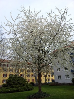 20120415_115555 [1600x1200].jpg