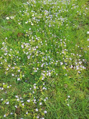 20120415_115620 [1600x1200].jpg