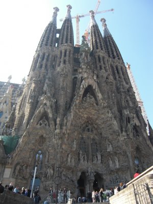 CIMG9868.JPG