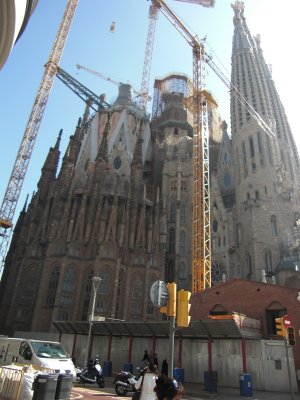 CIMG9867.JPG