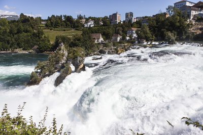 IMG_7607.jpg
