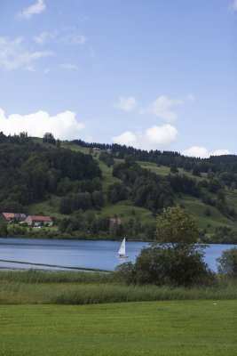 IMG_7273.jpg