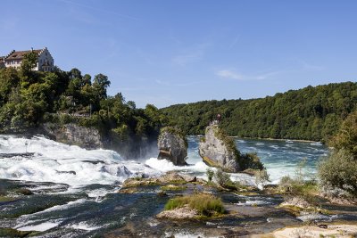 IMG_7478.jpg