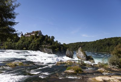 IMG_7472.jpg