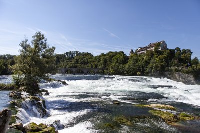 IMG_7483.jpg