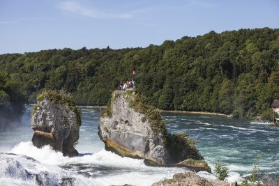 IMG_7485.jpg