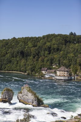 IMG_7514.jpg