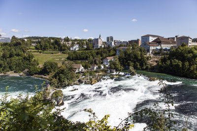 IMG_7571.jpg