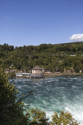 IMG_7582.jpg