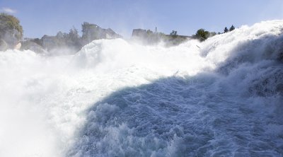 IMG_7716.jpg