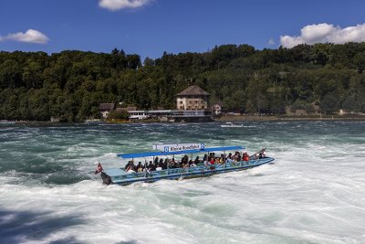 IMG_7731.jpg