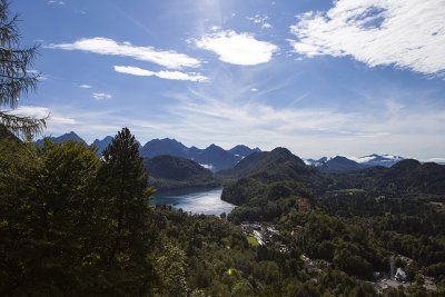 IMG_6261.jpg