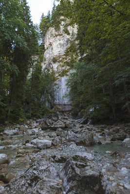 IMG_6502.jpg