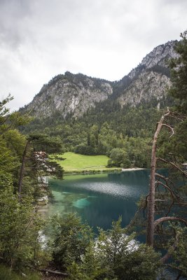 IMG_6631.jpg