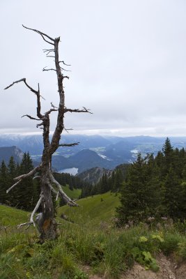 IMG_6885.jpg