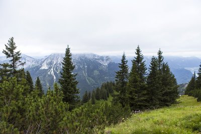 IMG_6880.jpg