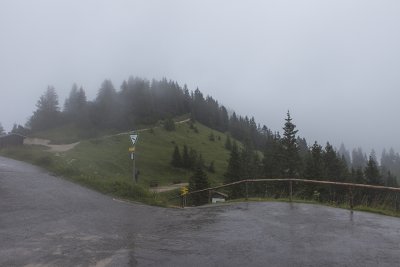 IMG_7091.jpg