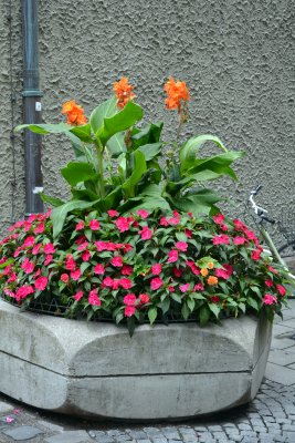 DSC_0122275.jpg