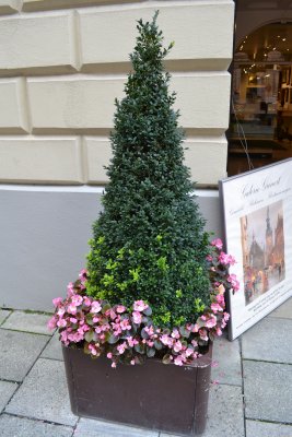 DSC_0078.jpg