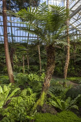 IMG_8144 копия.jpg