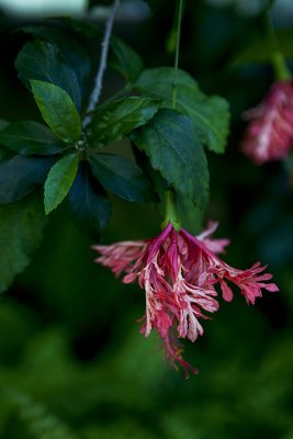 IMG_8178 копия.jpg