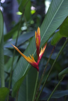 IMG_8162 копия.jpg