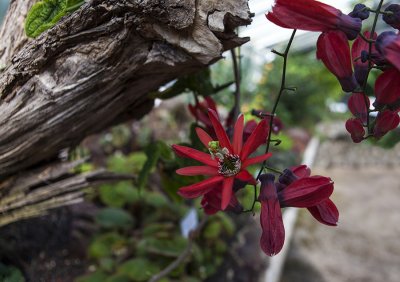 IMG_8173 копия.jpg