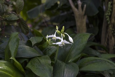 IMG_8174 копия.jpg