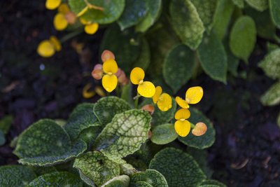 IMG_8187 копия.jpg