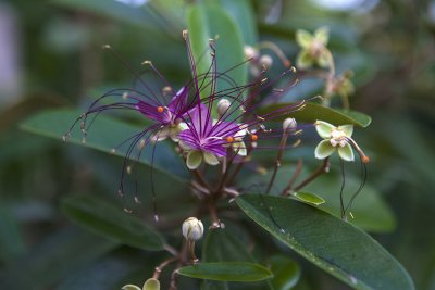 IMG_8255 копия.jpg