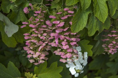 IMG_8534 копия.jpg